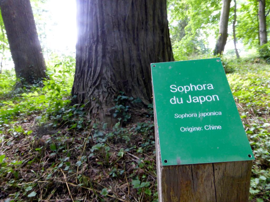 Maison D'Hotes Le Chateau De Puxe エクステリア 写真