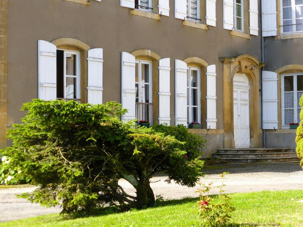 Maison D'Hotes Le Chateau De Puxe エクステリア 写真