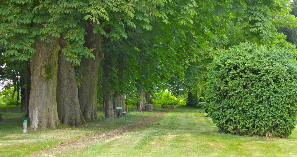 Maison D'Hotes Le Chateau De Puxe エクステリア 写真